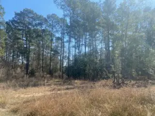 1513 Cheyenne Loop, Conroe, TX 77316 - #3