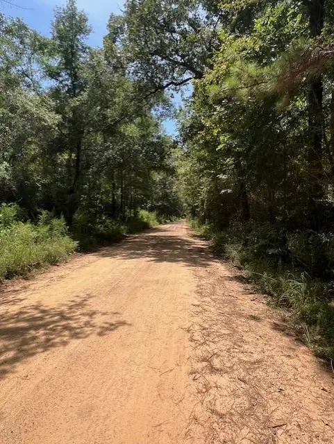 00 Camp Seale Rd, Livingston, TX 77351 - #1