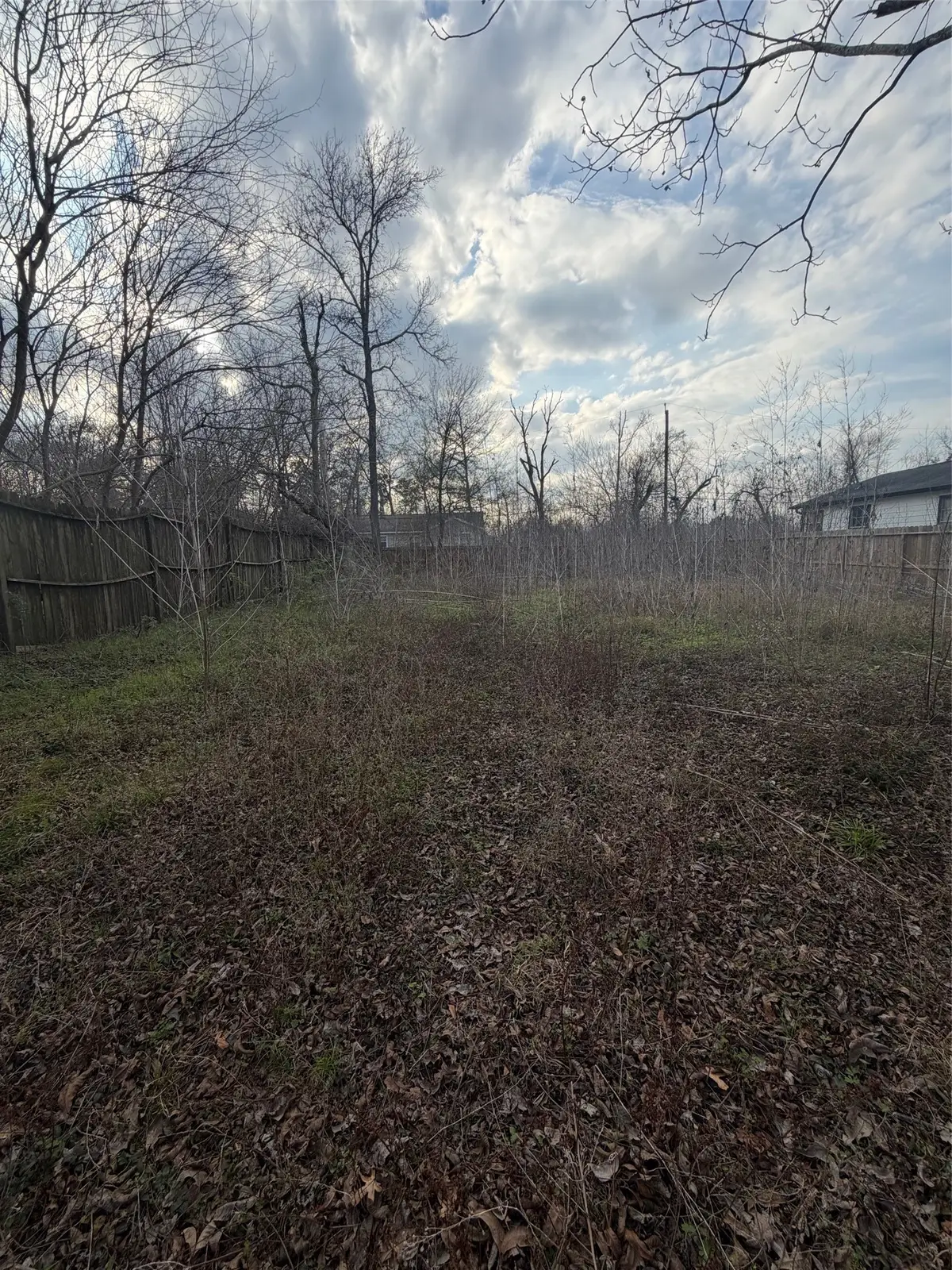 5909 Midgeley Street, Houston, TX 77091 - #1