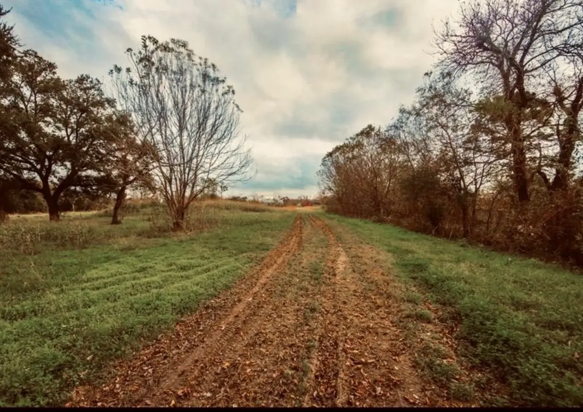 12215 Foxton Road, Houston, TX 77048 - Image #1