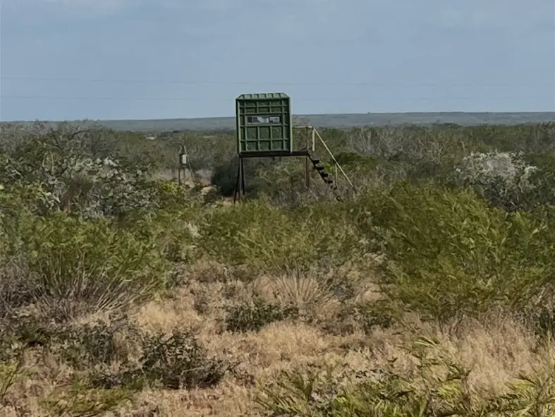 00 Hwy 339, Freer, TX 78384 - Image #2