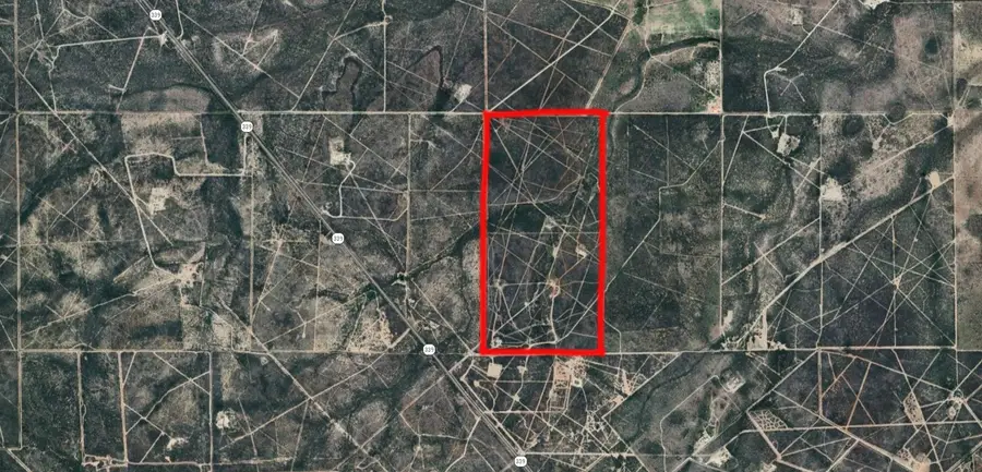 00 Hwy 339, Freer, TX 78384 - Image #3