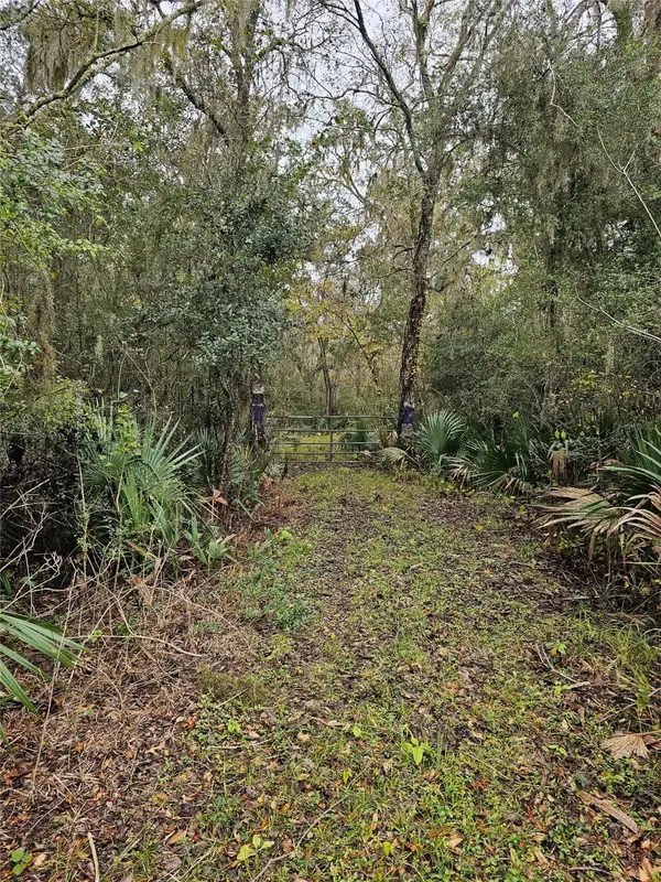 1070 County Road 136 / Live Oak, Van Vleck, TX 77482