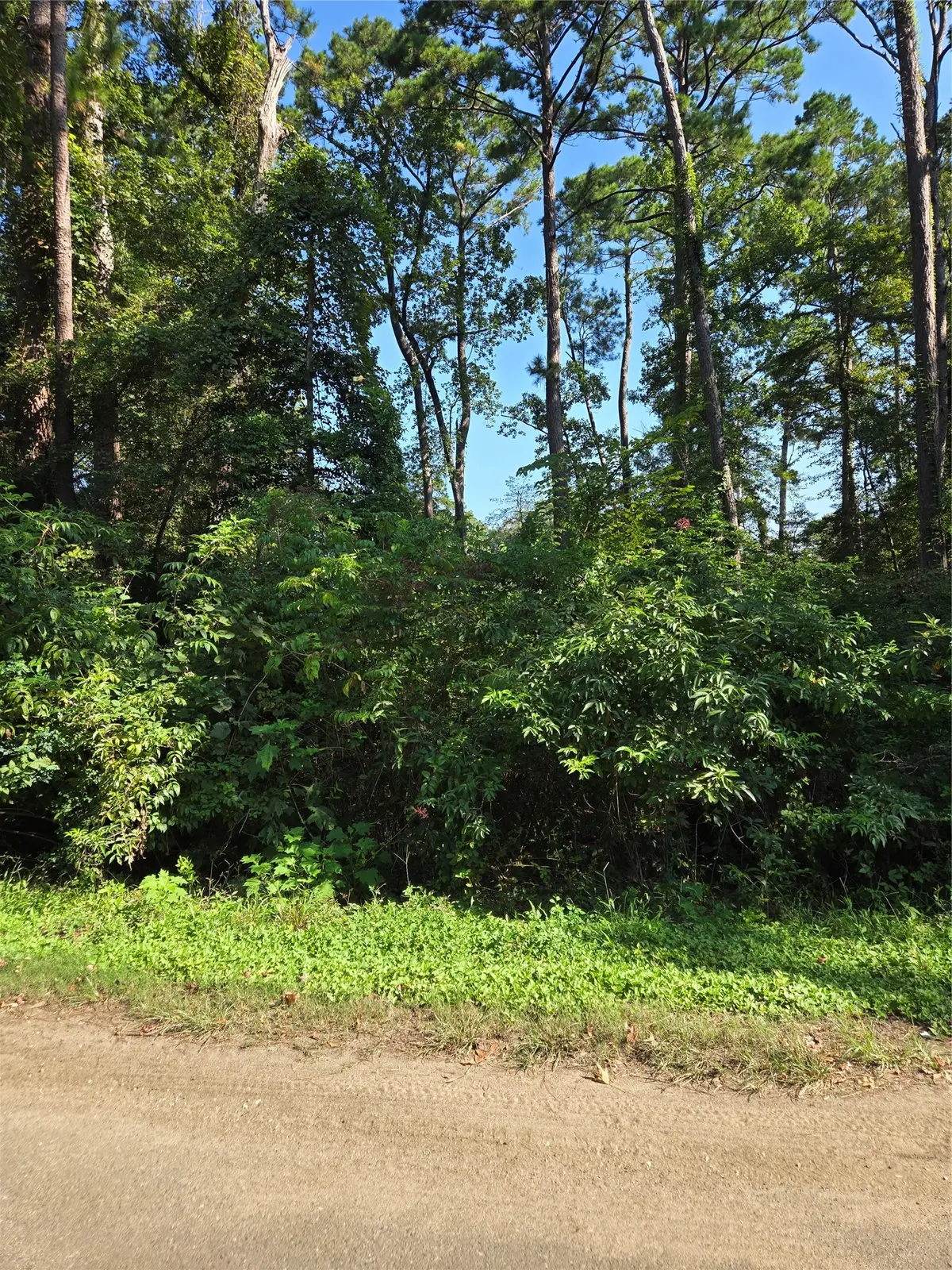 237 White Oak, Burkeville, TX 75932 - #1