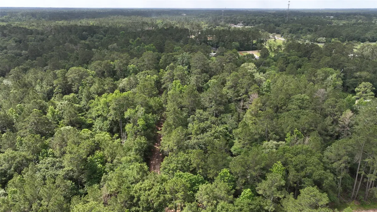 0 Todd Mission Drive, Plantersville, TX 77363 - #1