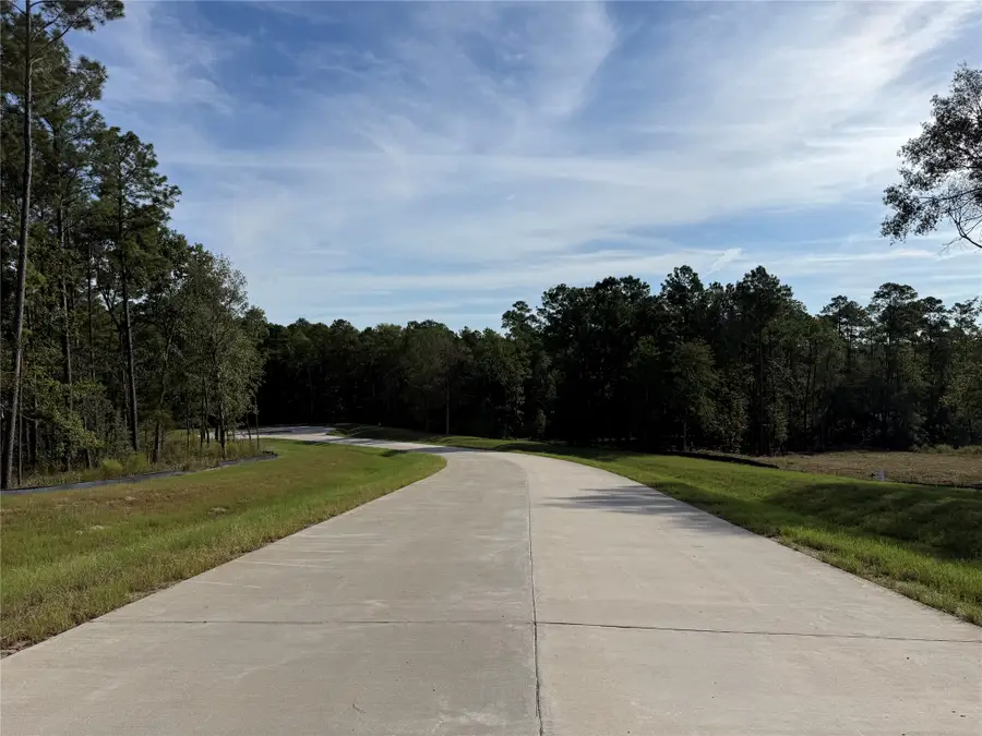 99 Pine Timber Dr, Willis, TX 77378 - #2