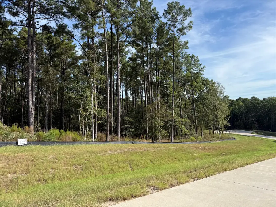 99 Pine Timber Dr, Willis, TX 77378 - #3