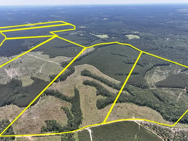 T-4 Union Springs Road, Corrigan, TX 75939