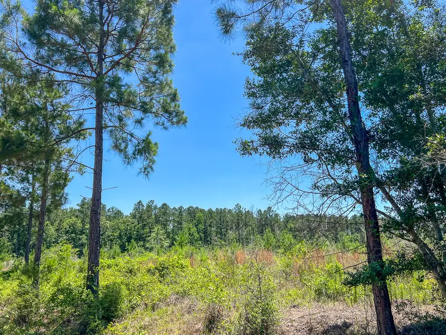 T-4 Union Springs Road, Corrigan, TX 75939 - #3