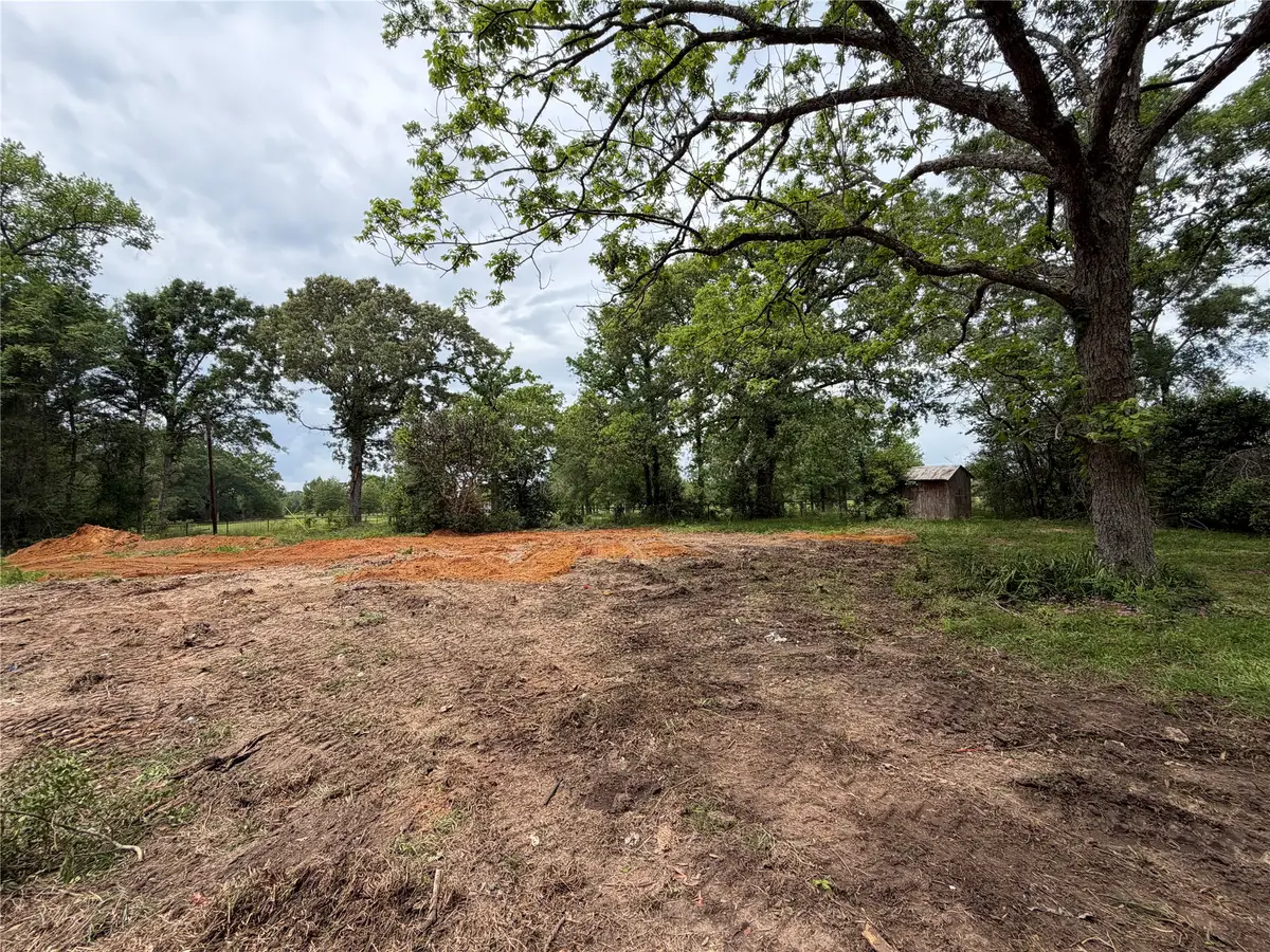 4831 Menard Chapel Road, Livingston, TX 77351 - #1