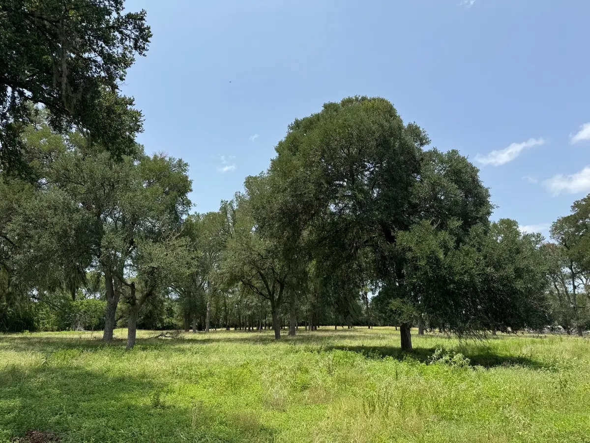 220 Bybee Road, Round Top, TX 78954 - #1