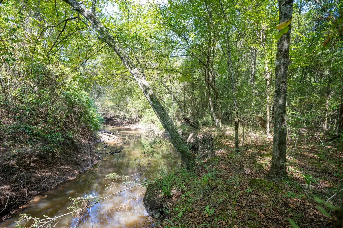 tbd County Road 4520, Warren, TX 77664 - Image #1