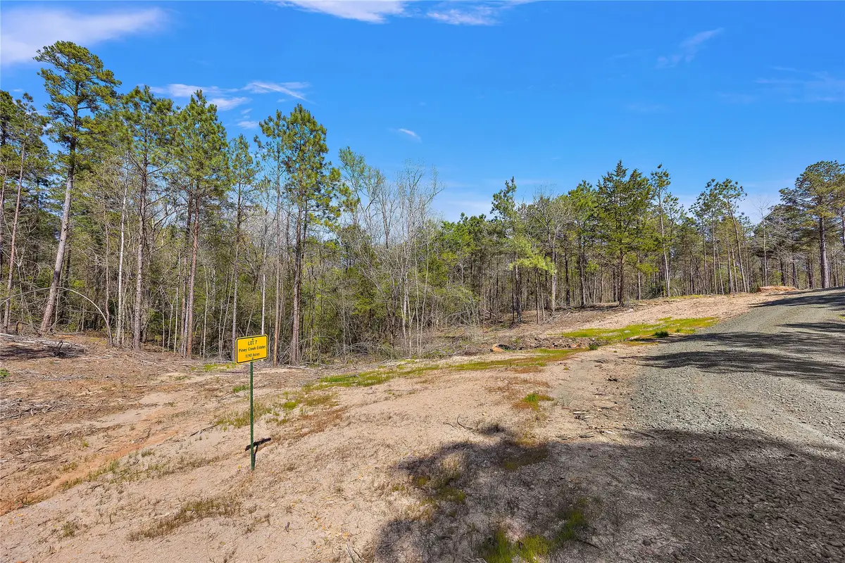 382 Piney Creek Estates Road, Timpson, TX 75975 - Image #1