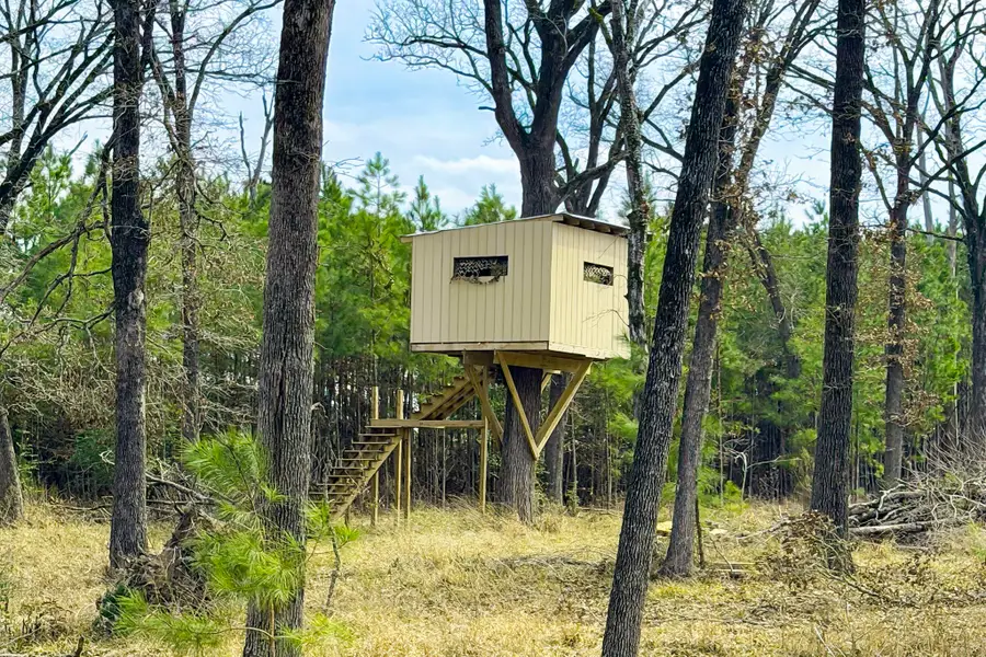 148 Private Road 8033, Crockett, TX 75835 - #2