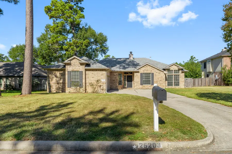 25203 Butterwick Drive, Spring, TX 77389 - Image #3