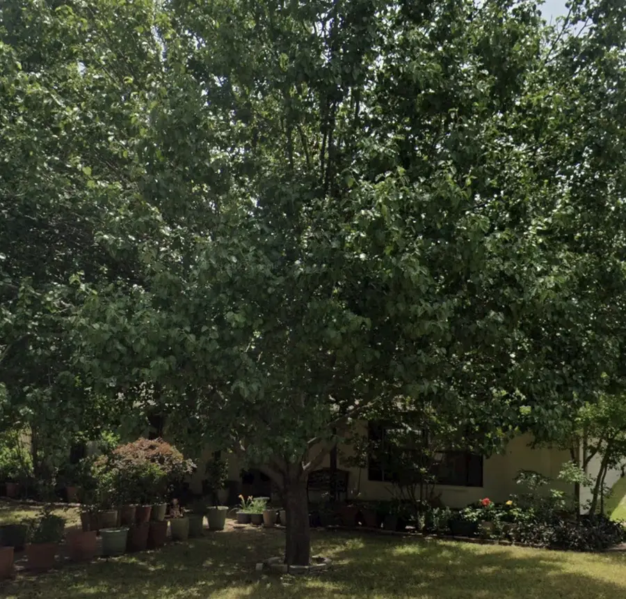 2512 Eastbrook Drive, Mesquite, TX 75150 - #3