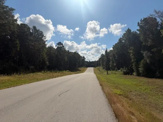 133 Copperleaf Road, Huntsville, TX 77340 - Image #3