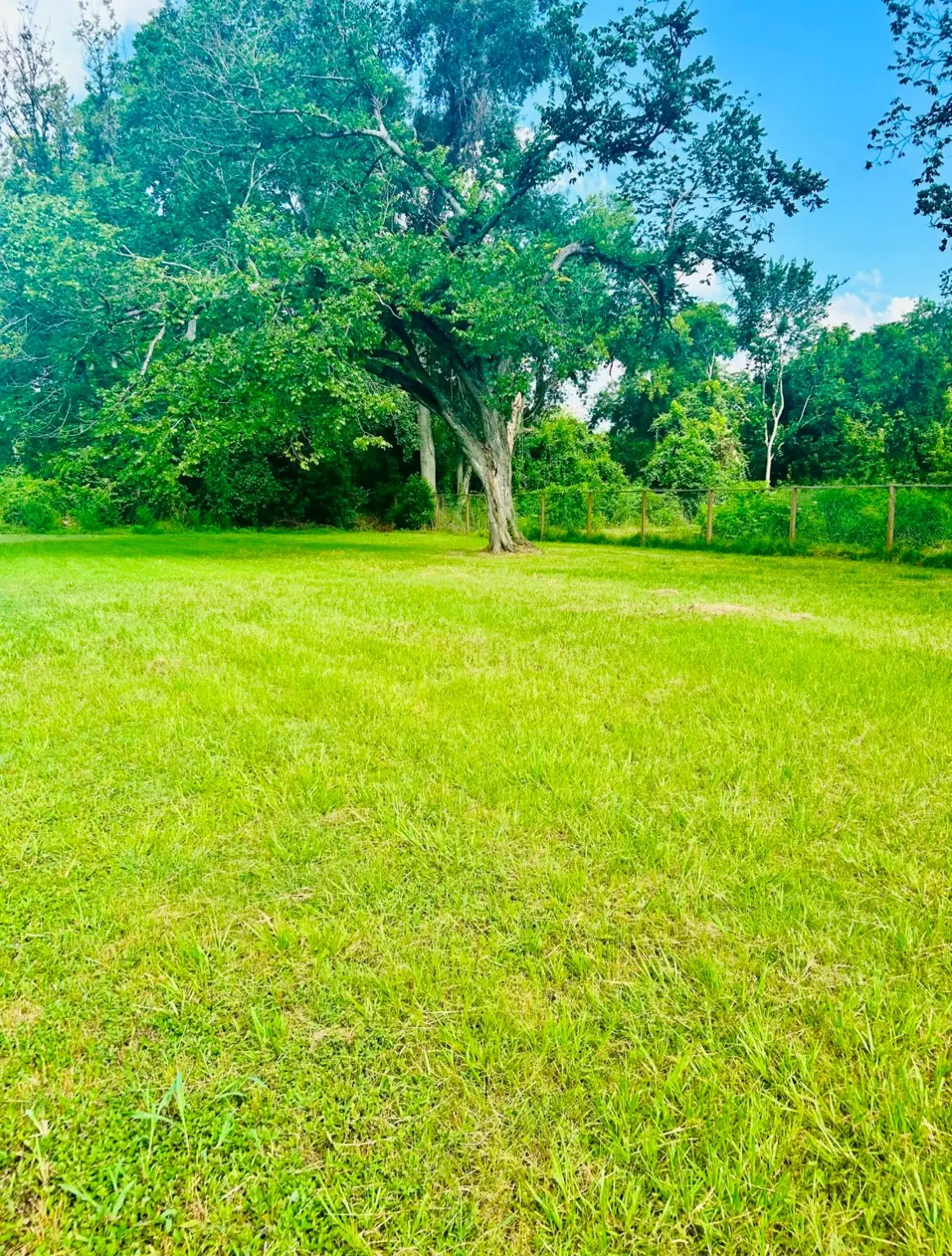 2215 Dewalt Street, Houston, TX 77088 - Image #1