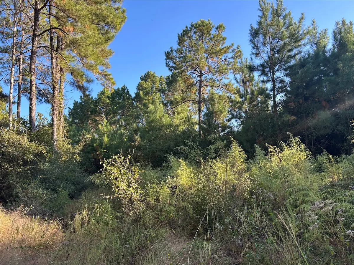 Tract 12B F M 230, Lovelady, TX 77854 - Image #1