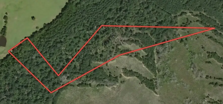 Tract 12B F M 230, Lovelady, TX 77854 - Image #2