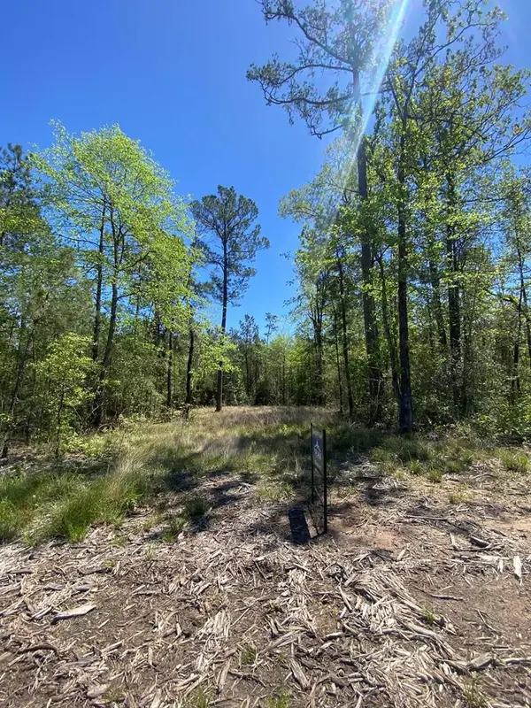 39-A Fm 1751, Broaddus, TX 75929