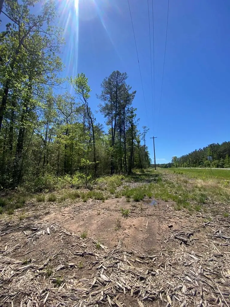 39-A Fm 1751, Broaddus, TX 75929 - #2