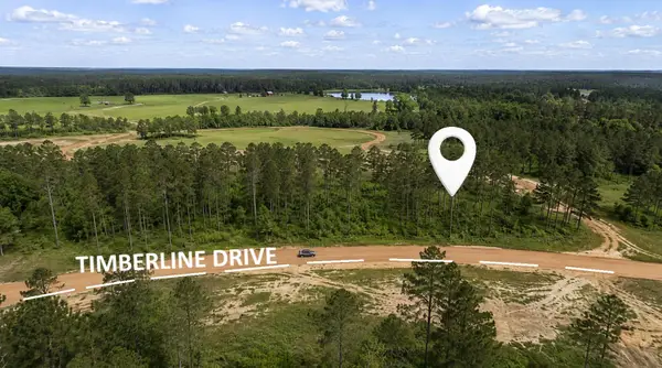 000 Timberline Dr, Hillister, TX 77624