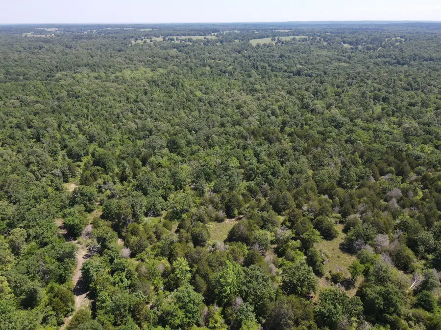 TBD Highway 75 South, Buffalo, TX 75831 - #3