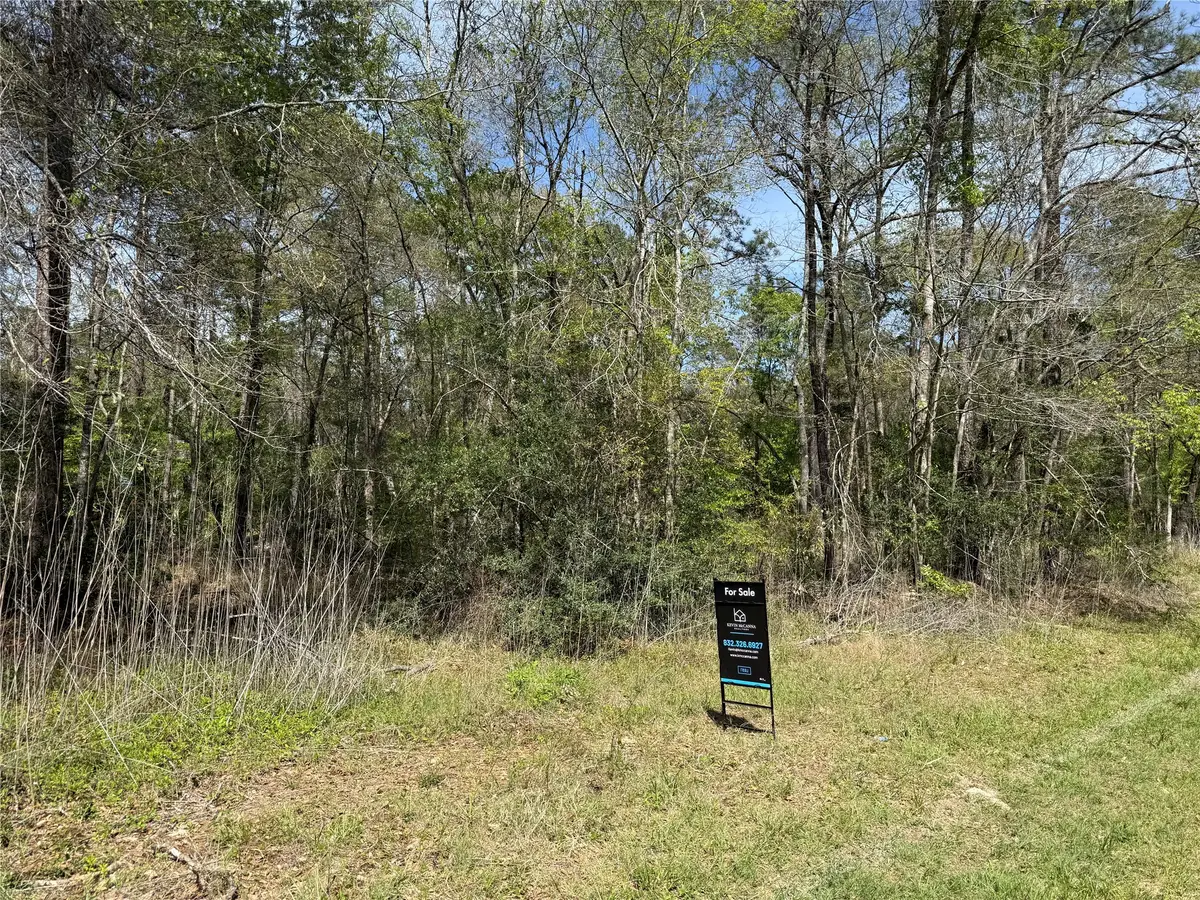 TBD White Oak Drive, Conroe, TX 77306 - #1