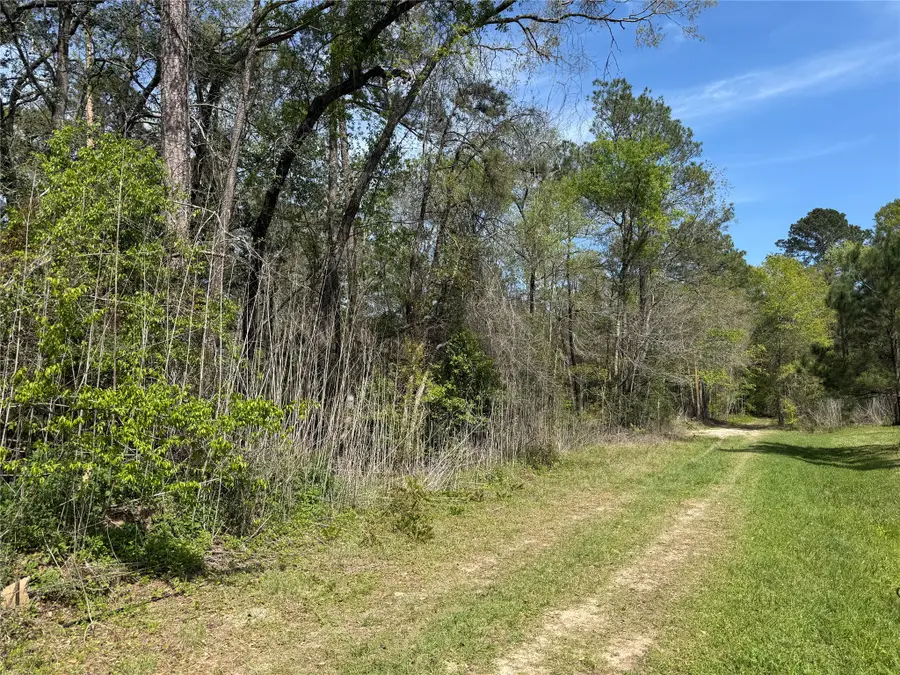 TBD White Oak Drive, Conroe, TX 77306 - #2