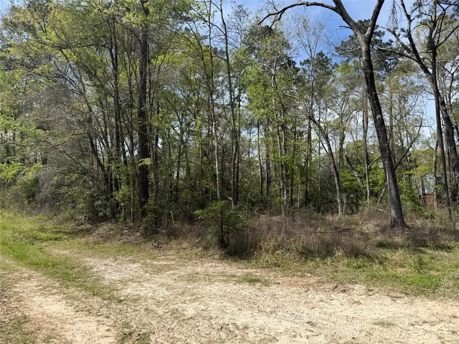 TBD White Oak Drive, Conroe, TX 77306 - #3