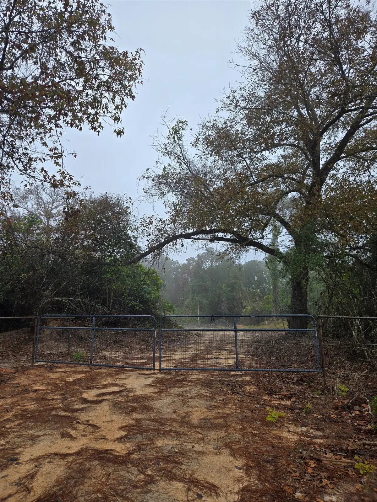 1017 County Road 3325, Colmesneil, TX 75938 - Image #1