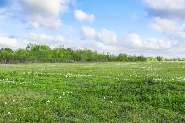 1115 E Fm 1462 Road, Rosharon, TX 77583