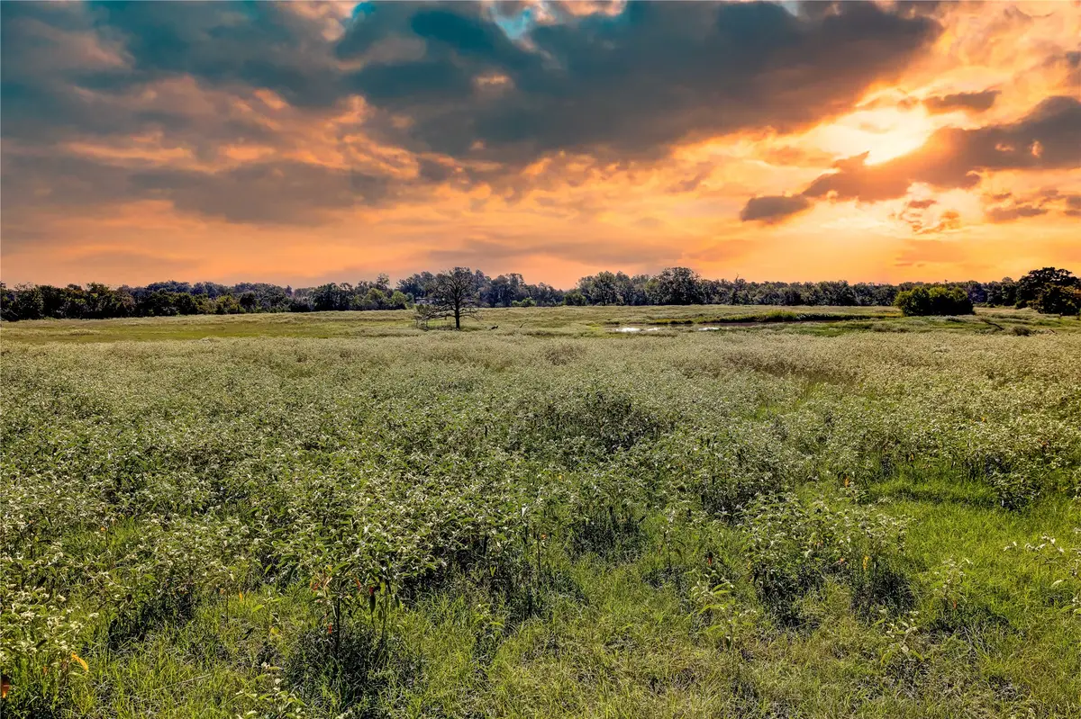 1197 Fm 489 W, Donie, TX 75838 - Image #1