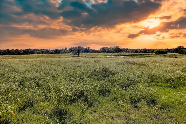 1197 Fm 489 W, Donie, TX 75838