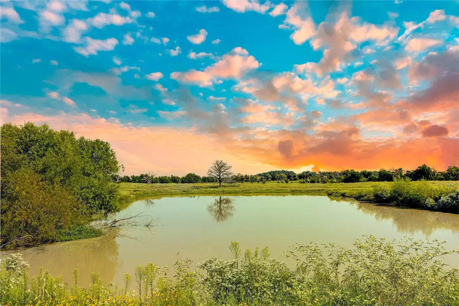 1197 Fm 489 W, Donie, TX 75838 - Image #2