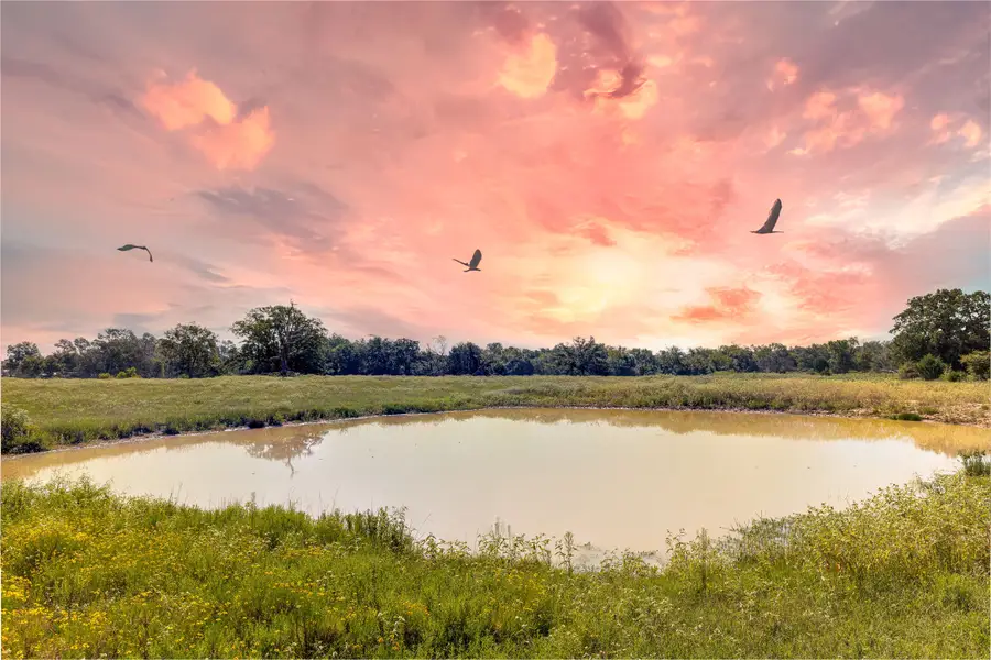 1197 Fm 489 W, Donie, TX 75838 - Image #3