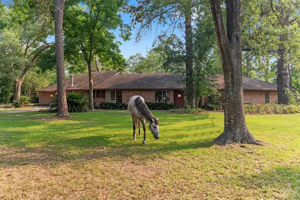 9809 Neuens Road, Houston, TX 77080