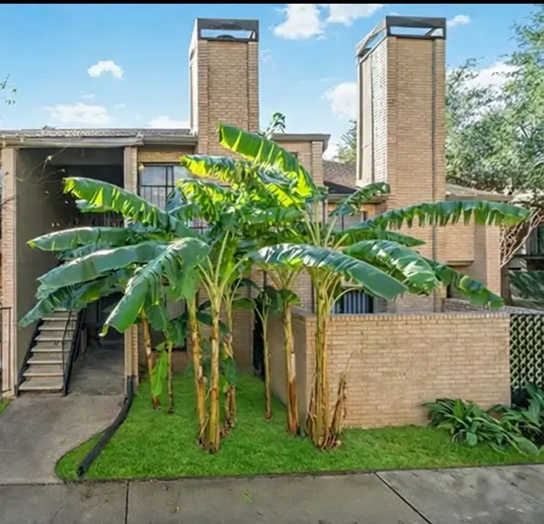 10811 Richmond Avenue #72, Houston, TX 77042