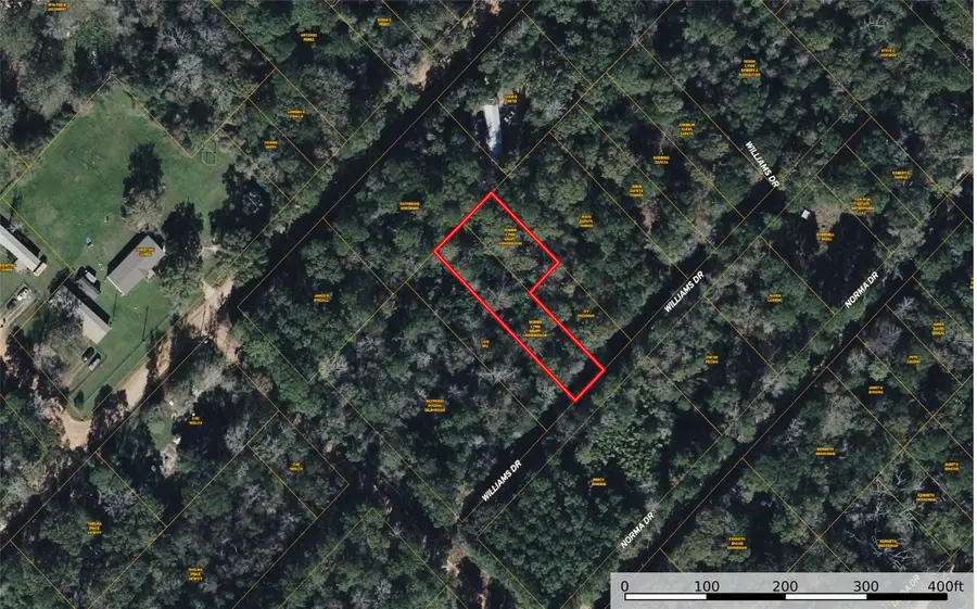 TBD Williams Drive, Livingston, TX 77351 - #3