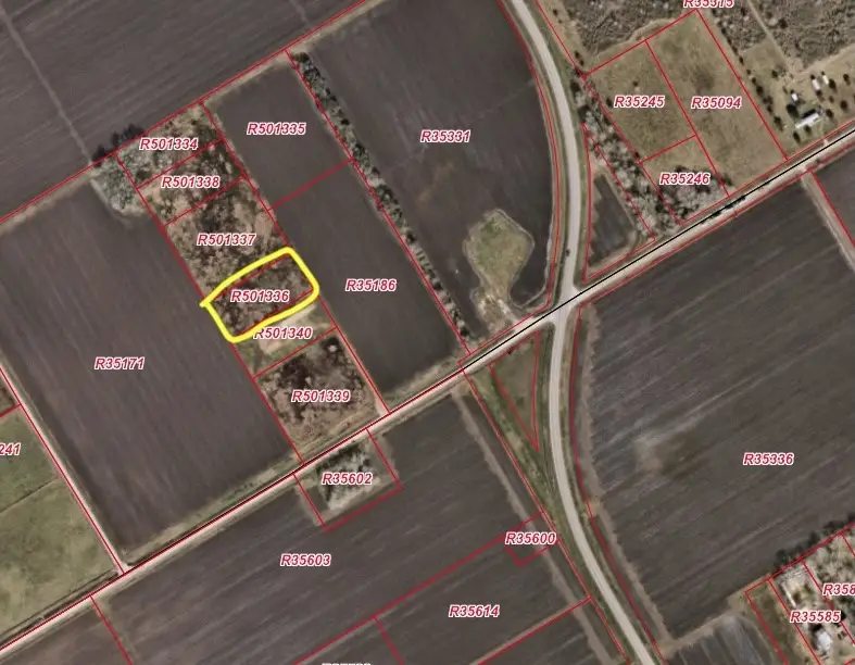 000 Pink Taylor Run Rd Road, Beasley, TX 77417 - Image #2