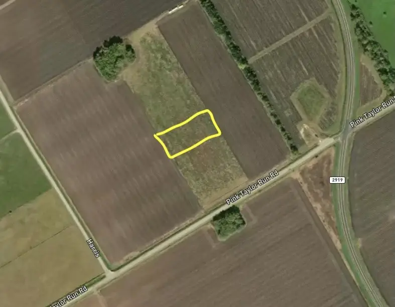 000 Pink Taylor Run Rd Road, Beasley, TX 77417 - Image #3