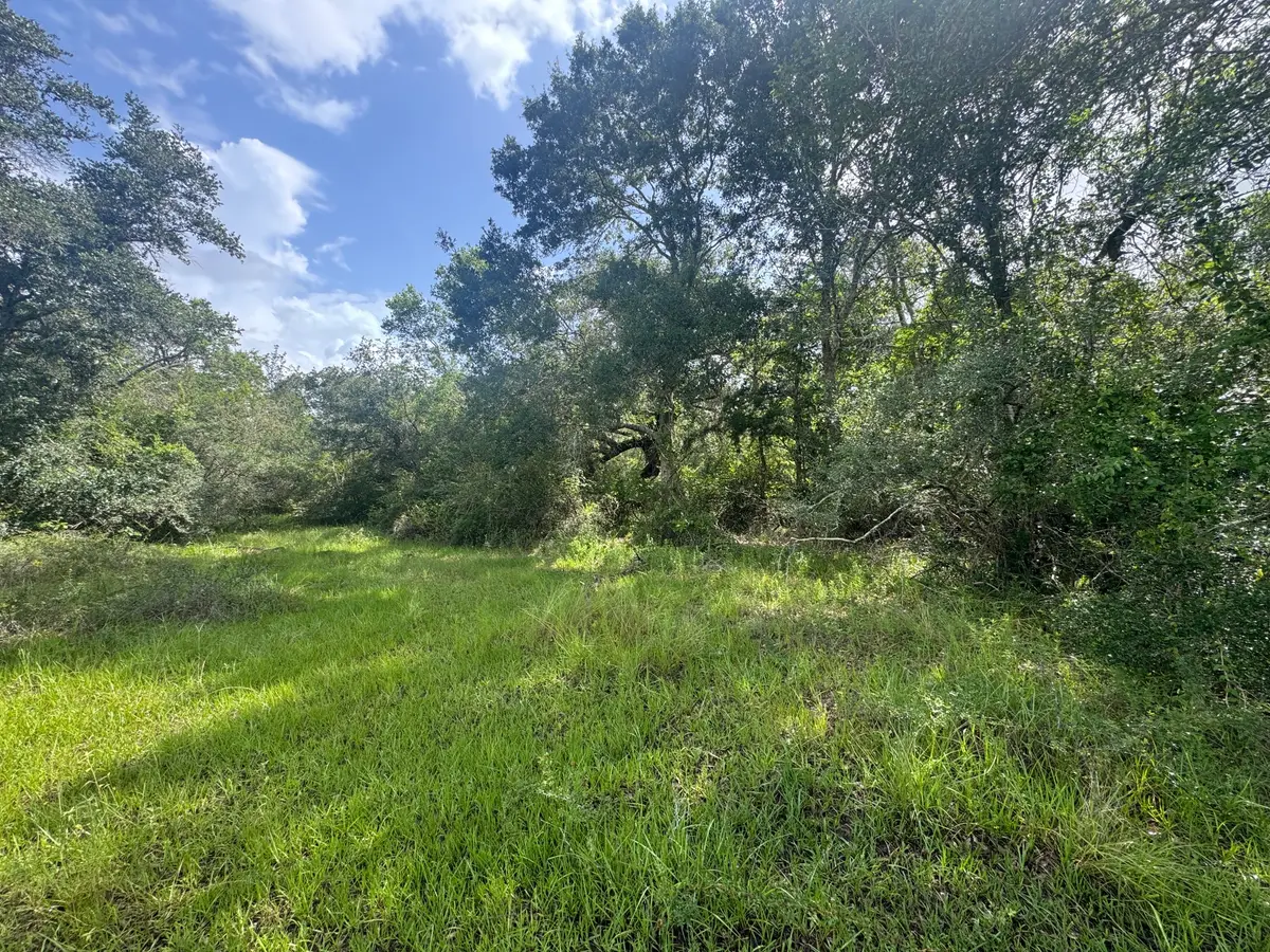 TBD Dewberry Lane, Louise, TX 77455 - #1
