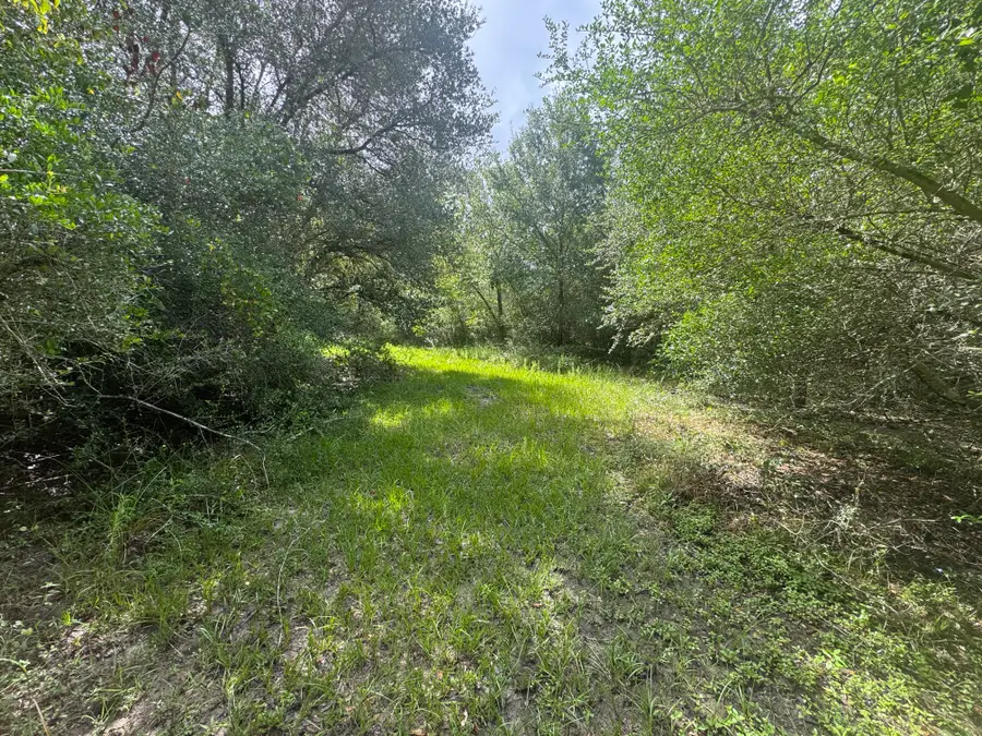 TBD Dewberry Lane, Louise, TX 77455 - #2
