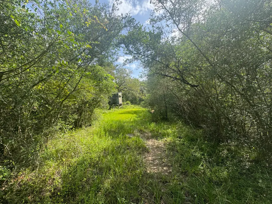 TBD Dewberry Lane, Louise, TX 77455 - #3
