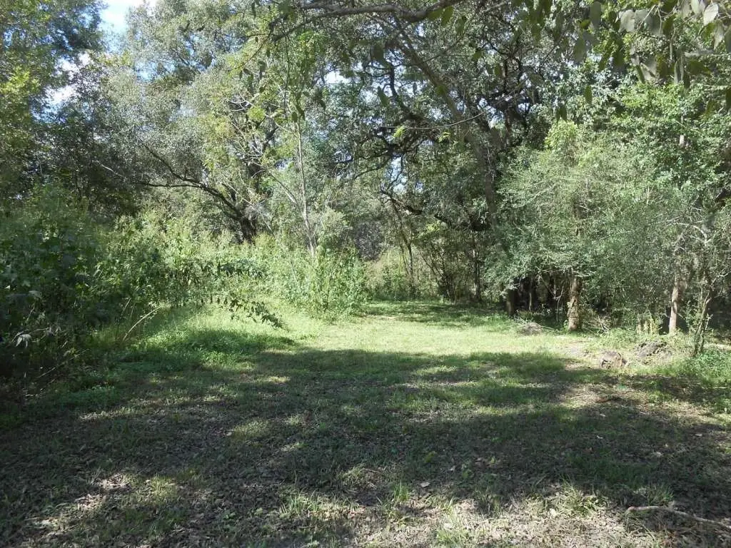 0 Bernard River Drive, Sweeny, TX 77480 - Image #1