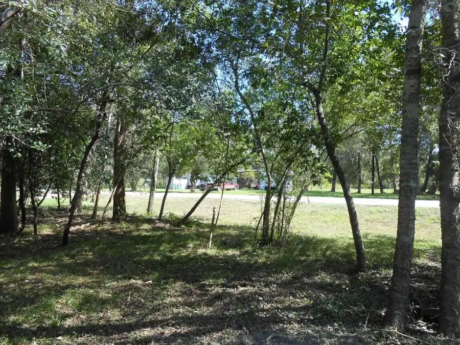 0 Bernard River Drive, Sweeny, TX 77480 - Image #2