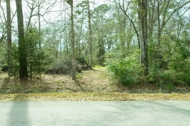 15050 Cardinal Trail, Conroe, TX 77302 - #3