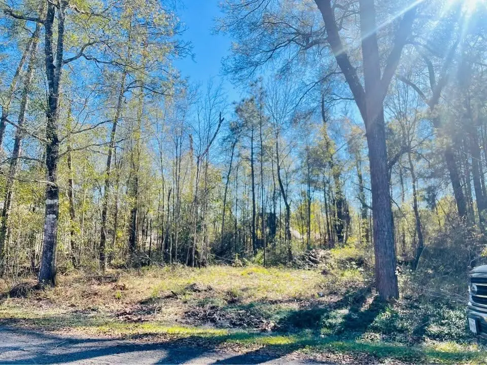 0 Paricia Street, Orange, TX 77632 - Image #1