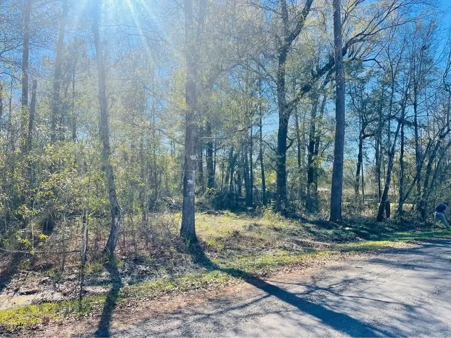 0 Paricia Street, Orange, TX 77632 - Image #2